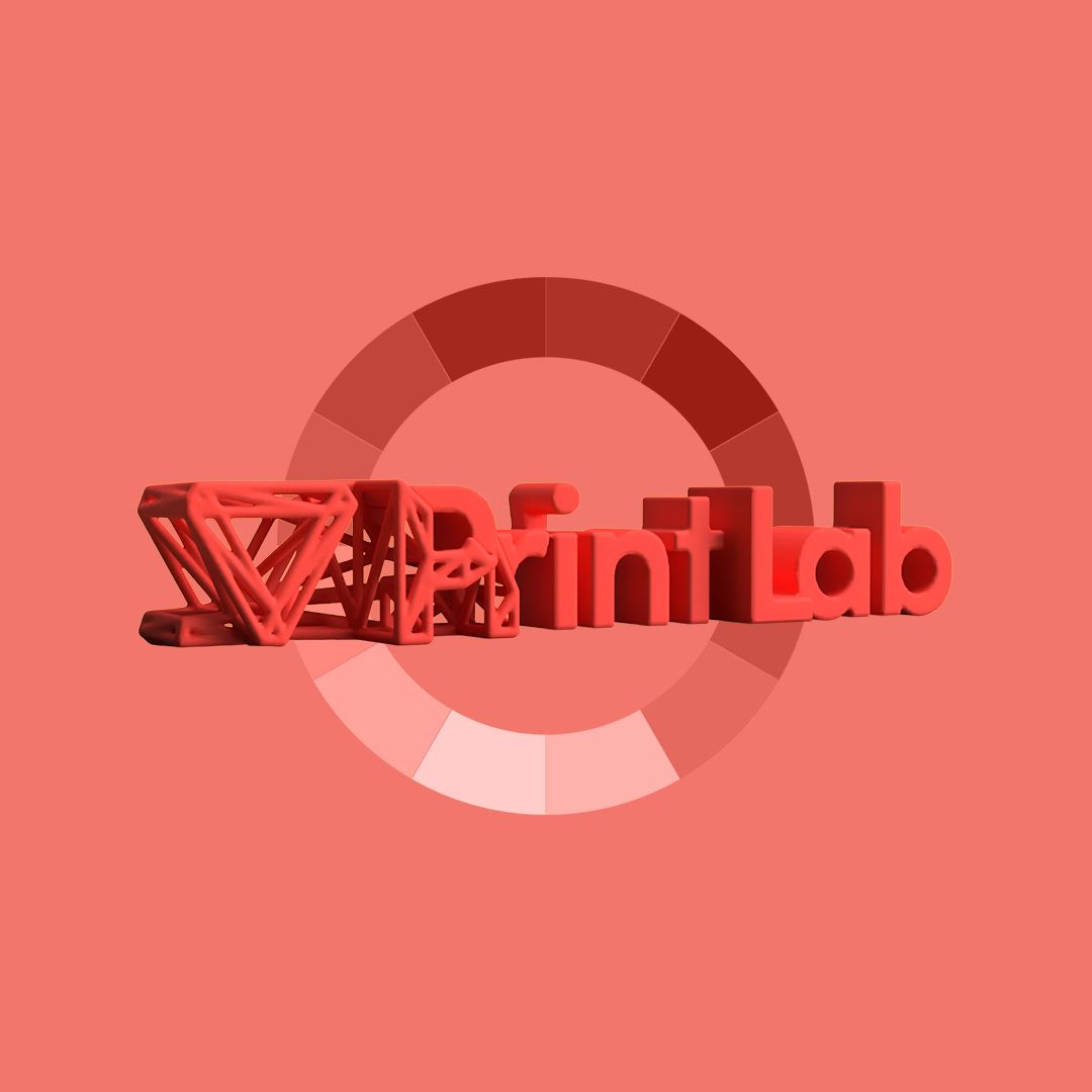 A digital 3D typography model with a lattice design, consisting of the PrintLab logo.