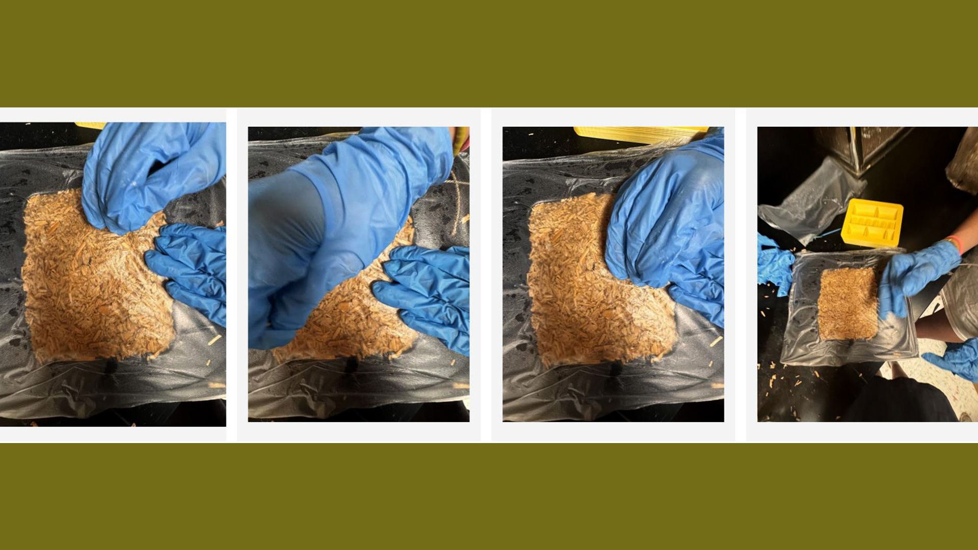 A sequence of 4 images showing the process of planting mycelium substrate into a mould.