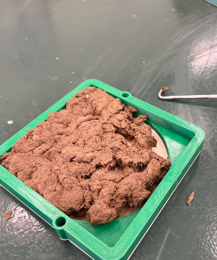 A green 3D printed mold filled with damp, pulped cardboard mixture, part of a recycled coaster-making project.